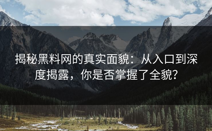 揭秘黑料网的真实面貌：从入口到深度揭露，你是否掌握了全貌？