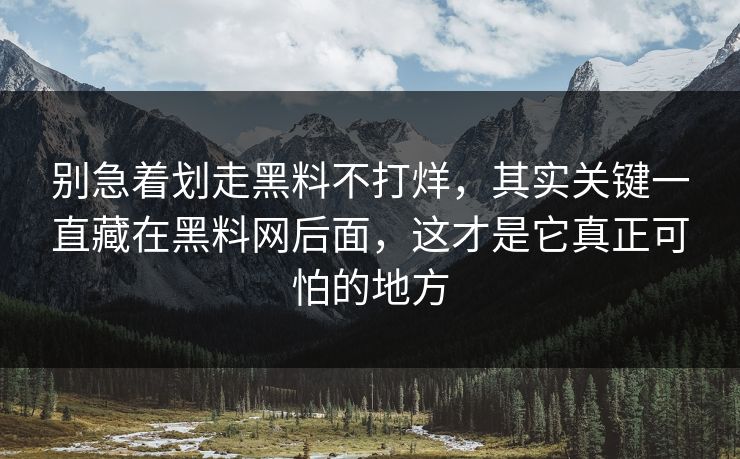 别急着划走黑料不打烊，其实关键一直藏在黑料网后面，这才是它真正可怕的地方