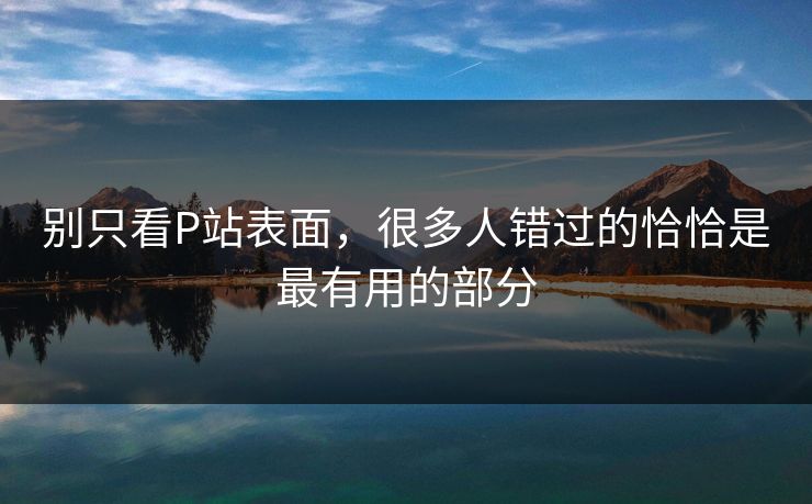 别只看P站表面，很多人错过的恰恰是最有用的部分