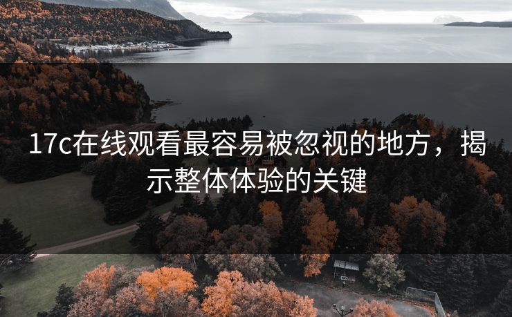 17c在线观看最容易被忽视的地方，揭示整体体验的关键