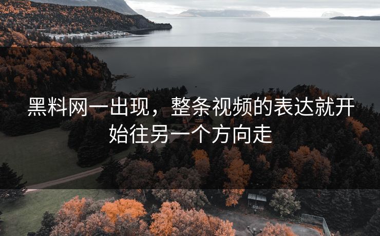 黑料网一出现，整条视频的表达就开始往另一个方向走
