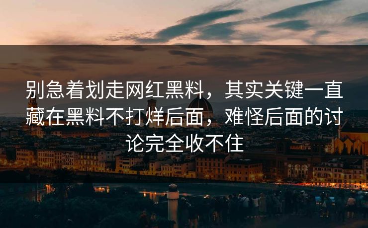别急着划走网红黑料，其实关键一直藏在黑料不打烊后面，难怪后面的讨论完全收不住