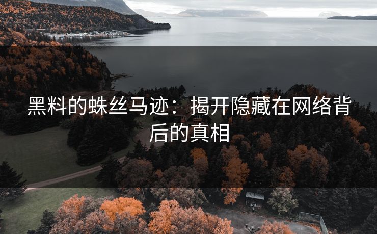 黑料的蛛丝马迹:揭开隐藏在网络背后的真相 黑料的蛛丝马迹:揭开隐藏在网络背后的真相